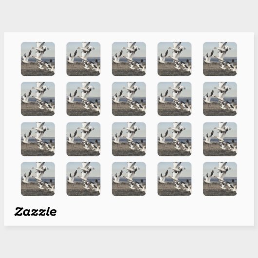 Flying Snow Geese Vierkante Sticker (Vel)