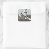 Flying Snow Geese Vierkante Sticker (Tas)