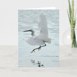 Flying Snowy Egret Kaart