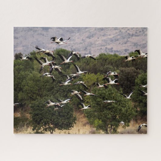 Flying Storks, Jigzaag Puzzle Legpuzzel (Horizontaal)