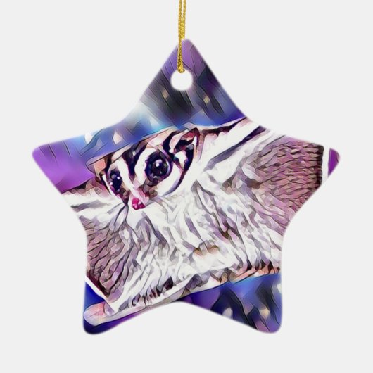 Flying Sugar Glider Keramisch Ornament (Voorkant)