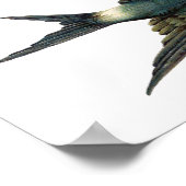 "Flying Swallow Bird Antiek Sparrow Art" Poster (Hoek)