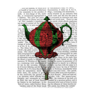 Flying Teapot 2 Red en Green Magneet