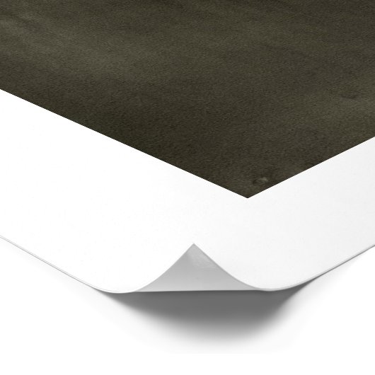 Flying Tiger Poster (Hoek)