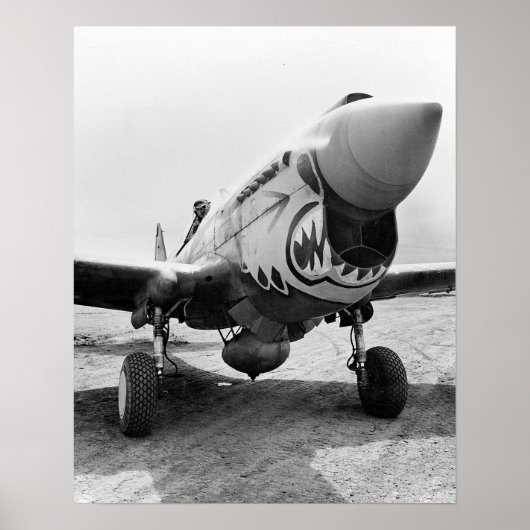 Flying Tigers P-40 Warhawk, 1941.  foto Poster (Voorkant)