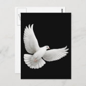 Flying White Dove Briefkaart (Voorkant / Achterkant)