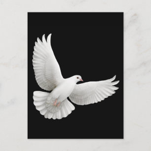 Flying White Dove Briefkaart