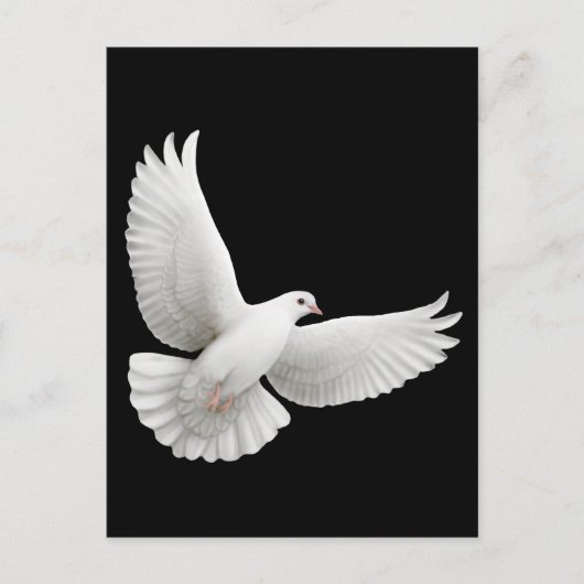 Flying White Dove Briefkaart (Voorkant)