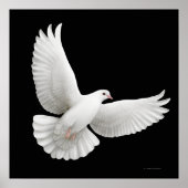 Flying White Dove Print (Voorkant)