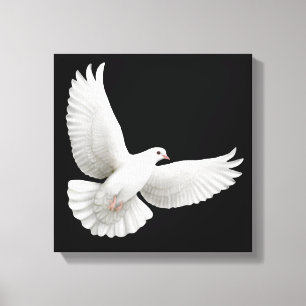 Flying White Dove verpakt Canvas