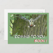 Flying Woodpecker Binnenkort op Briefkaart (Voorkant / Achterkant)