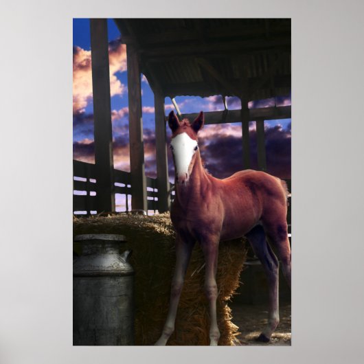 Foaalpaarden in de Barn Poster (Voorkant)