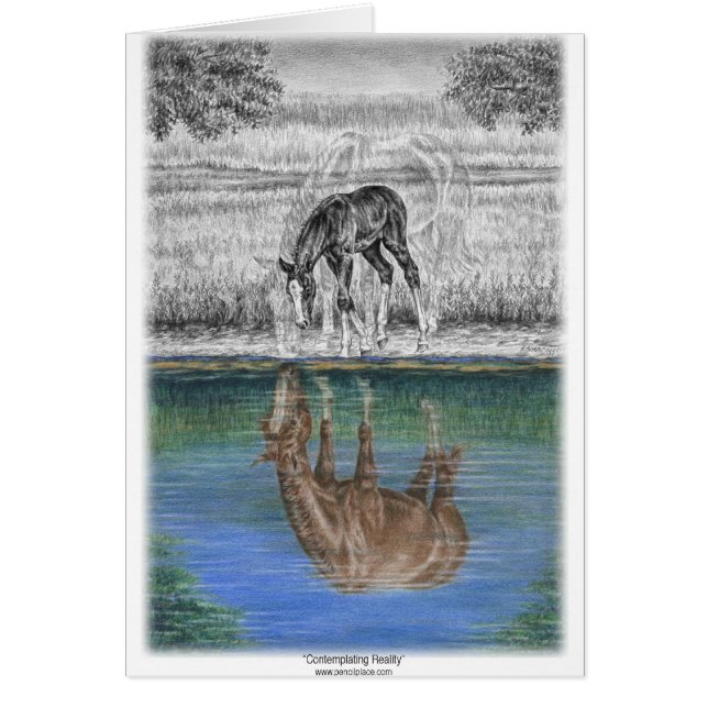 Foaalwaterreflectie van paarden (Voorkant)