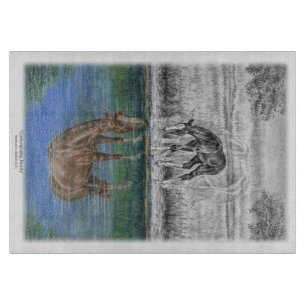 Foaalwaterreflectie van paarden snijplank