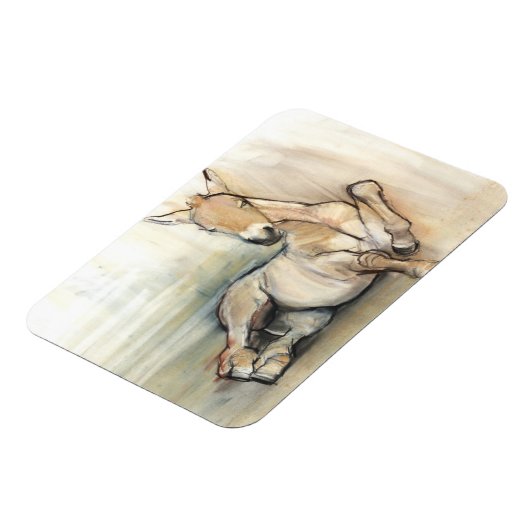 Foal 2012 magneet (Linkerzijde)