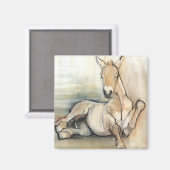 Foal 2012 magneet (Voorkant / Achterkant)