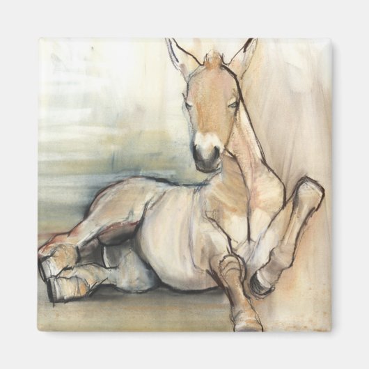 Foal 2012 magneet (Voorkant)