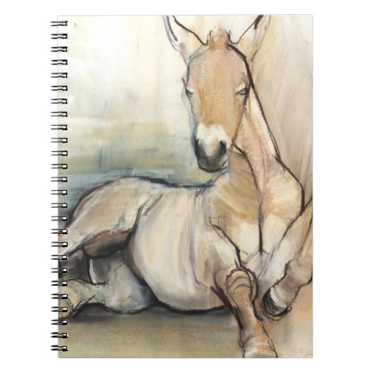 Foal 2012 notitieboek (Voorkant)