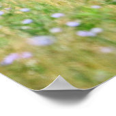 Foal en Flowers Poster (Hoek)