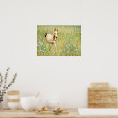 Foal en Flowers Poster (Keuken)