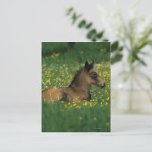 Foal Laying Down in Flowers Briefkaart (Staand voorkant)