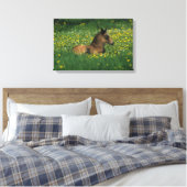 Foal Laying Down in Flowers Canvas Afdruk (Insitu (Slaapkamer))