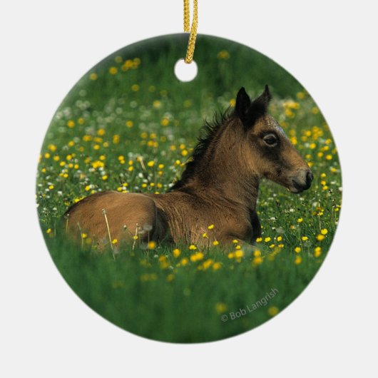 Foal Laying Down in Flowers Keramisch Ornament (Voorkant)