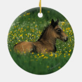 Foal Laying Down in Flowers Keramisch Ornament (Achterkant)
