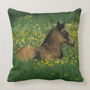 Foal Laying Down in Flowers Kussen