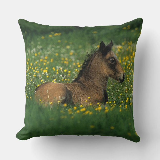 Foal Laying Down in Flowers Kussen (Voorkant)