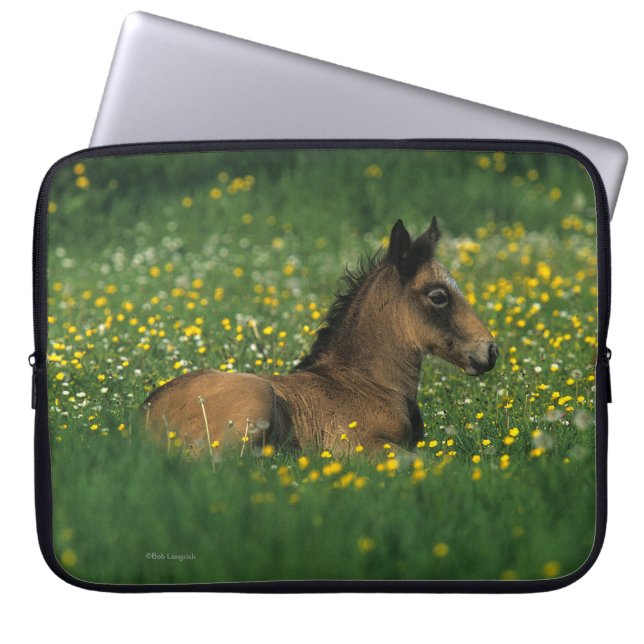 Foal Laying Down in Flowers Laptop Sleeve (Voorkant)