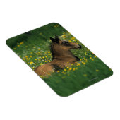 Foal Laying Down in Flowers Magneet (Rechterzijde)