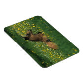 Foal Laying Down in Flowers Magneet (Rechterzijde)