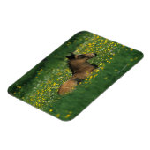 Foal Laying Down in Flowers Magneet (Linkerzijde)