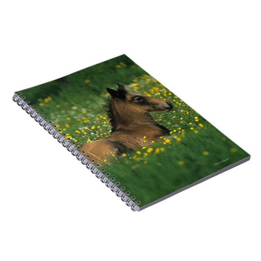 Foal Laying Down in Flowers Notitieboek (Rechterzijde)