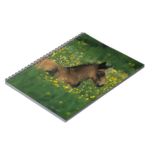 Foal Laying Down in Flowers Notitieboek (Linkerzijde)