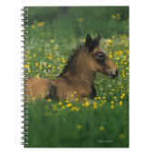 Foal Laying Down in Flowers Notitieboek (Voorkant)