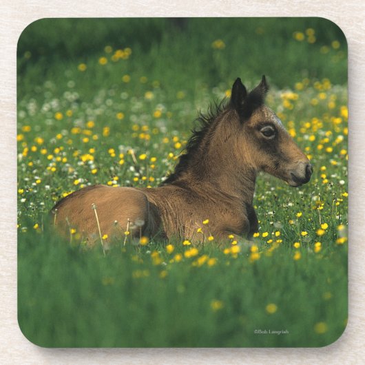 Foal Laying Down in Flowers Onderzetter (Voorkant)