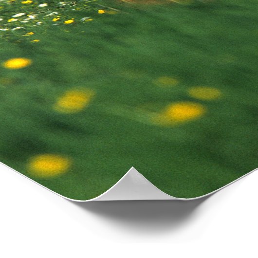 Foal Laying Down in Flowers Poster (Hoek)