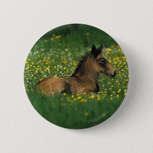 Foal Laying Down in Flowers Ronde Button 5,7 Cm (Voorkant)