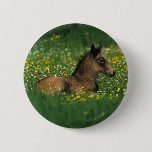 Foal Laying Down in Flowers Ronde Button 5,7 Cm