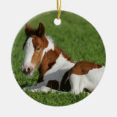 Foal Laying in Grass Keramisch Ornament (Voorkant)
