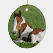 Foal Laying in Grass Keramisch Ornament (Links)