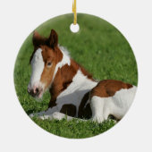 Foal Laying in Grass Keramisch Ornament (Achterkant)