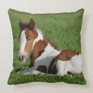 Foal Laying in Grass Kussen