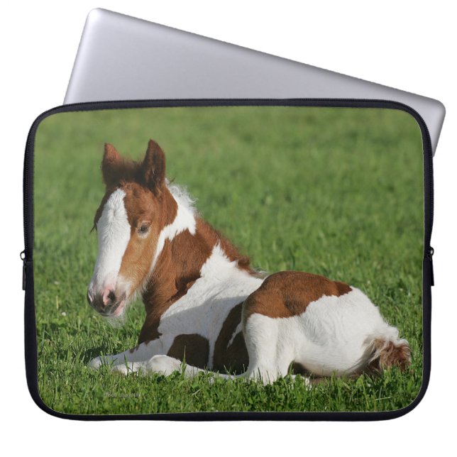 Foal Laying in Grass Laptop Sleeve (Voorkant)