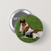 Foal Laying in Grass Ronde Button 5,7 Cm (Voorkant /achterkant)