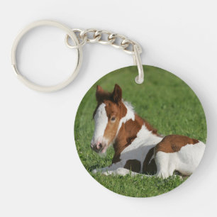 Foal Laying in Grass Sleutelhanger