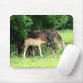 Foal Mousepad Muismat (Met muis)