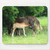Foal Mousepad Muismat (Voorkant)